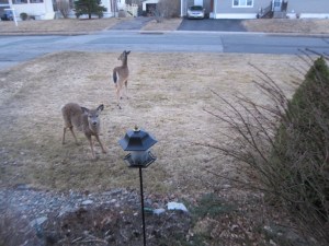 ???????????????????????????????