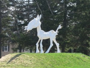 Old Blow Hard the Race Horse