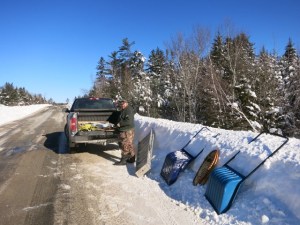arriving - beautiful morning