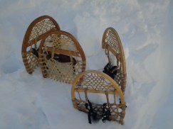 snow shoes
