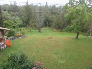 backyard beauties