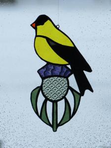 Goldfinch on thistle